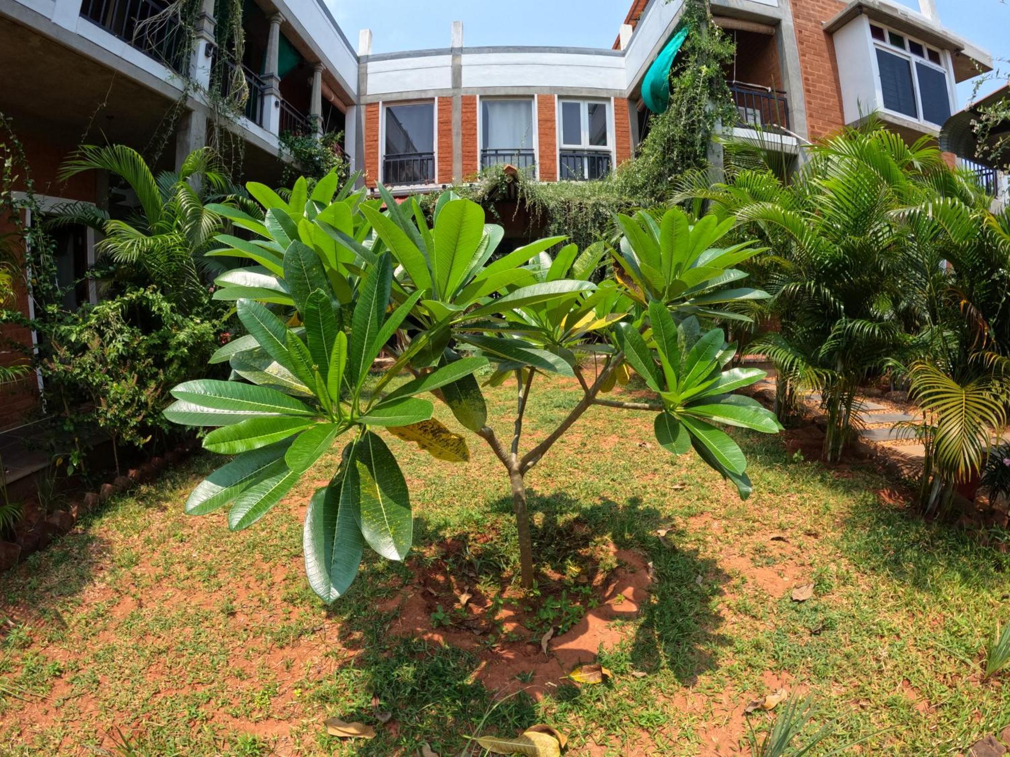 Wow Farm House Auroville Ngoại thất bức ảnh